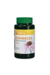 Echinacea 250mg (90) Bíbor kasvirág Vitaking Echinacea 250mg (90) Bíbor kasvirág Vitaking