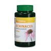 Echinacea 250mg (90) Bíbor kasvirág Vitaking Echinacea 250mg (90) Bíbor kasvirág Vitaking