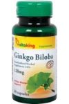 Ginkgo Biloba 120mg TR (60) kapszula Vitaking Ginkgo Biloba 120mg TR (60) kapszula Vitaking